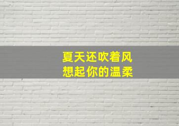 夏天还吹着风 想起你的温柔